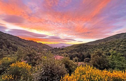 Bio Agriturismo Il Vigno - Pool Sauna Nature - Farm To Table Food - Wild Tuscan countryside - Adults Only - Your Place to Breathe - Foto 4