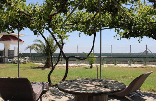 Villa IVIA - Photo 53