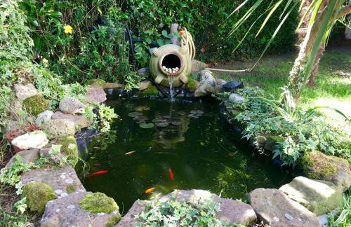 Location dans les Landes et le Pays basque - Foto 11