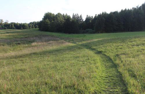 Pod tulipanem nad jeziorem - Foto 65