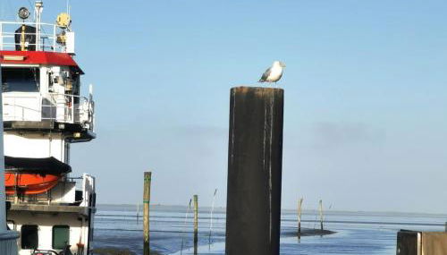 NEU Ferienwohnung Wellenrauschen - Foto 5