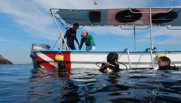 Beginner’s Dive: Your First Underwater Adventure - Photo 5