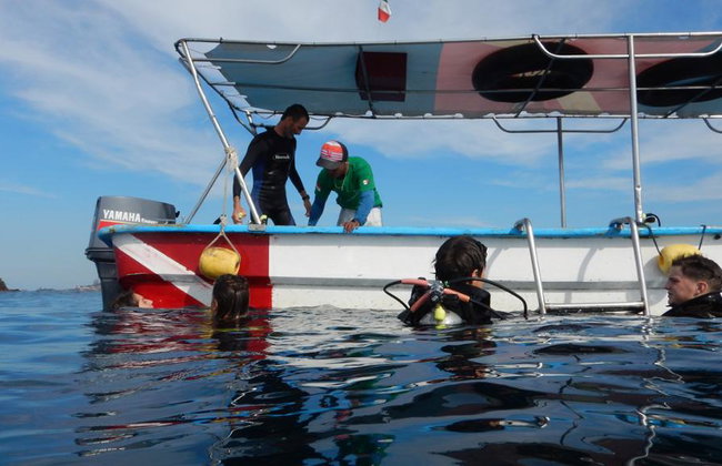 Beginner’s Dive: Your First Underwater Adventure - Photo 5