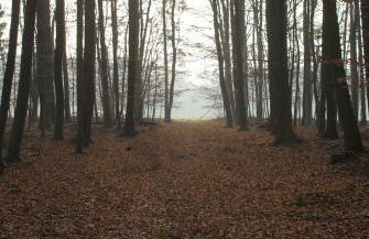 Schöner Winkel - Foto 35