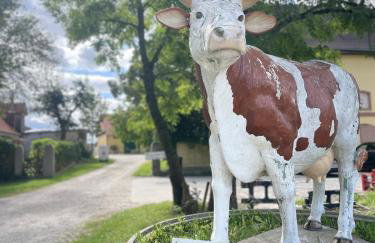 Gemütlicher Camper fußläufig zur Therme Erding - Foto 26