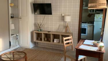 Musa Paradisiaca 6, un angolo tropicale a Torino - Foto 2