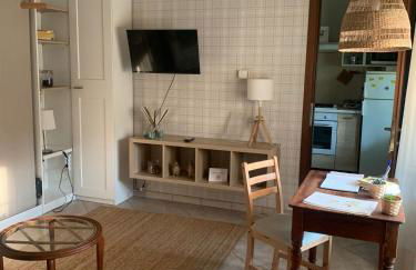 Musa Paradisiaca 6, un angolo tropicale a Torino - Foto 2