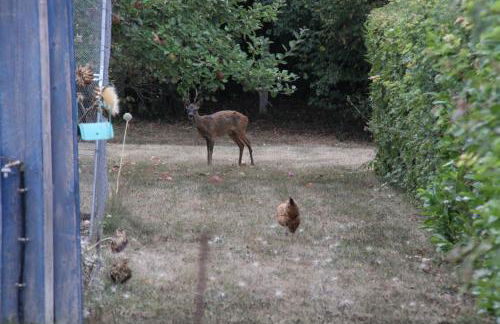 Gîte le Pilon - Foto 35