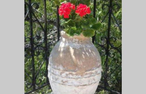 Yria Suite Zakynthos - Foto 23