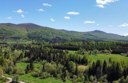 DoMarka całoroczny dom w Bieszczadach - Foto 22