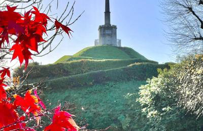 City Centre Luxury House - Garden Oasis, Kingsize beds - Foto 20