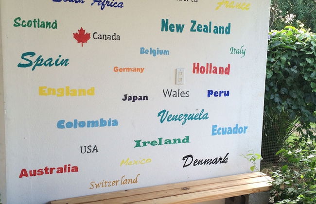 La Maracuyá - Photo 14