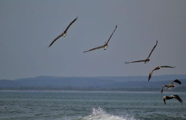 Casa Patricia Gran Pacifica Resort - Foto 22