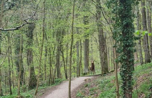 Skipton at Six - Foto 54