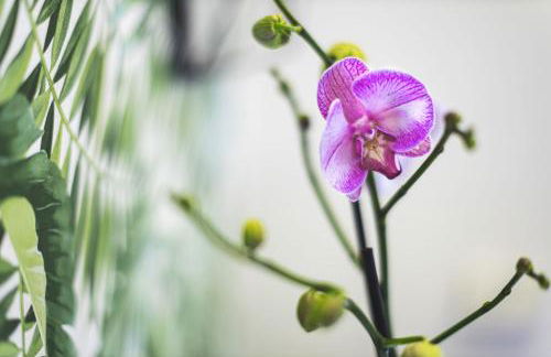 Luce del lago - Foto 29