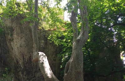 maison au coeur de Fontaine de Vaucluse, nichée sur le rocher et surplombant la sorgue - Foto 19