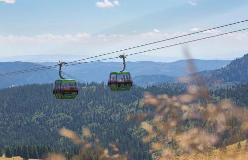 Ferienwohnung im Haus Rhea am Südhang- Feldberg- Falkau - Foto 22