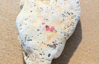 Maison de vacances - côte de Jade - coup de coeur - Foto 43