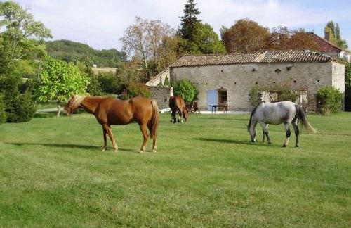 Gîtes Grand Pré ! et la Roulotte de Roquecor - Photo 73