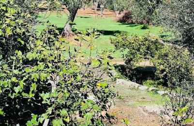 Trullo Antelmi - Foto 39