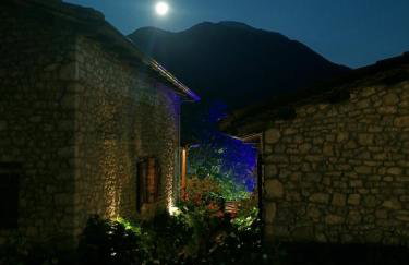 Petrina Theohari - Foto 34