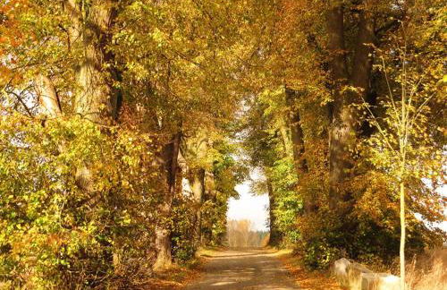 Ferienhaus Hornauer - Foto 31