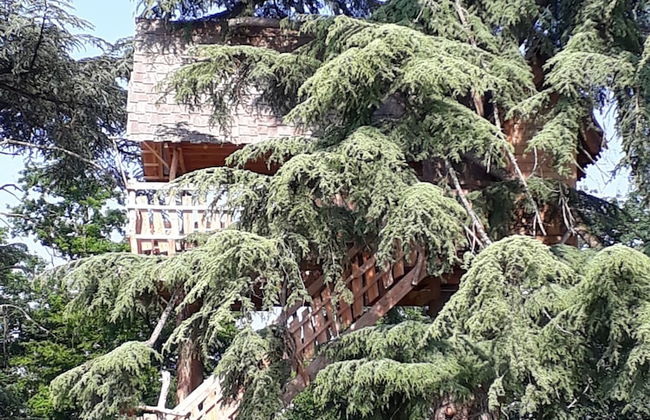 Relais du Haget - Foto 18