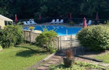 The Swirling Bird - Foto 43