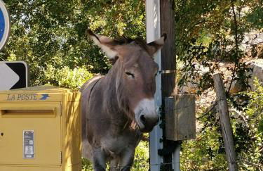 Maison du Troubadour - Foto 40