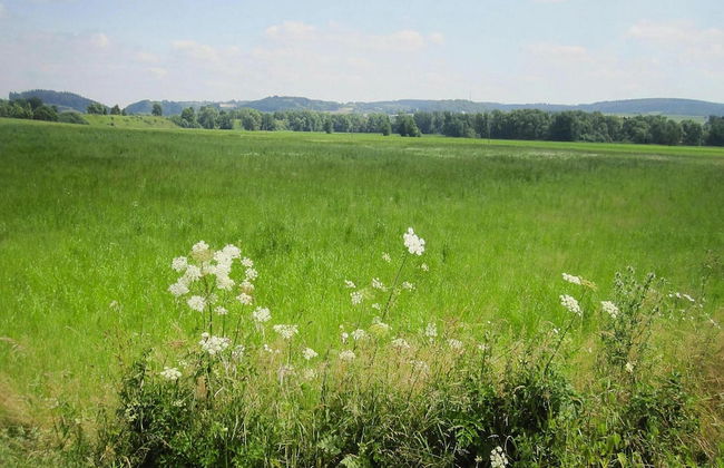 Apartments, Lissendorf - Foto 54