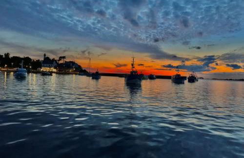 Coté Golfe - Golfe du Morbihan - Foto 31