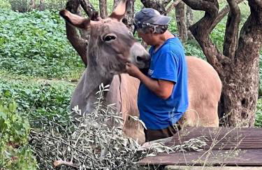 Margherita Holiday Home - Foto 76