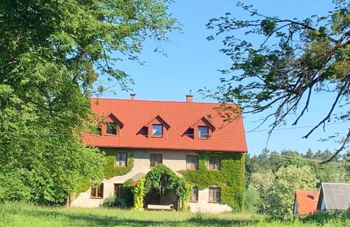 Polanka Agroturystyka i Konie - Foto 3