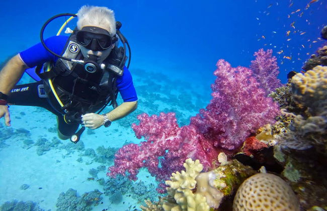 Bautismo de buceo en el Mar Rojo - Foto 18