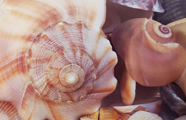 The Sand Castle - Foto 38