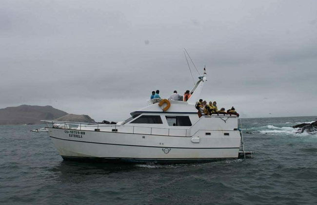 Balade en bateau privé depuis Callao - Photo 3