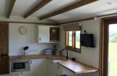 Ty Beti at Gorlan yr Efail Shepherds Hut with Private Hot Tub - Foto 32