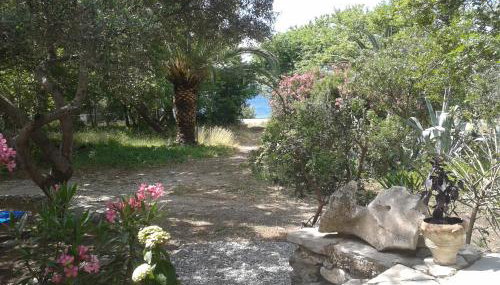 Villa Galinotis - Foto 3, Garden view