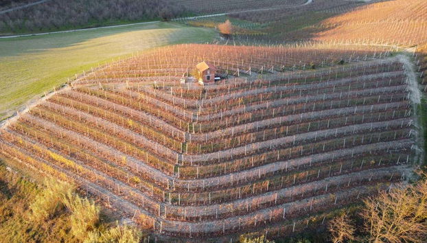 Neive Guided Tour - Foto 2