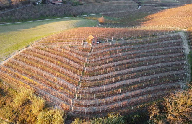 Visite guidée dans Neive - Photo 2