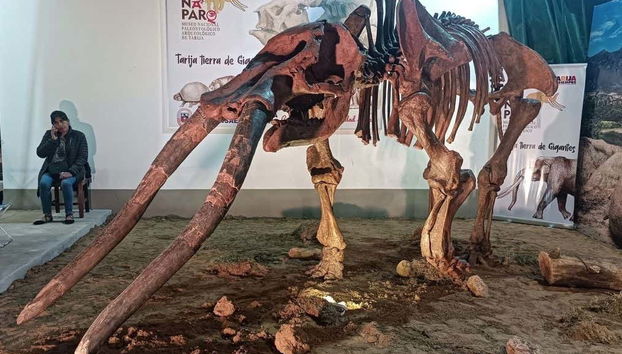 Tarija City Tour - Photo 3