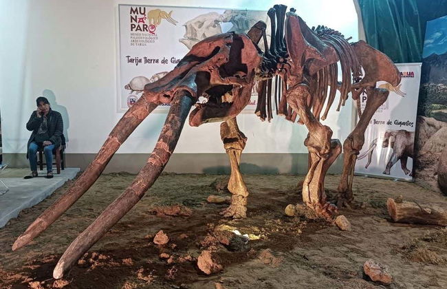 Tour por Tarija - Foto 3