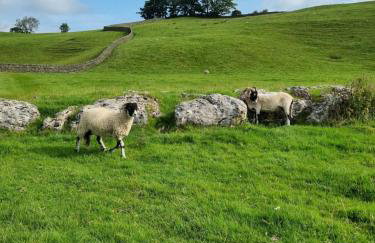 Station Cottage Hawes - Foto 43