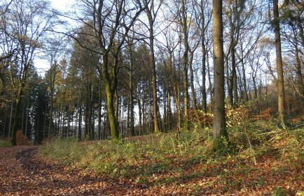 Ferienwohnung Schwalbennest - Foto 58