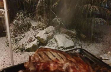 Sutton Coldfield 2-Bed Caravan Parking & Bar-B-Q - Foto 17