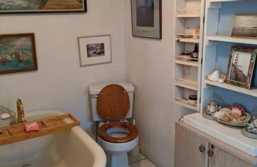 1870s Stained Glass Nostalgia - Foto 19