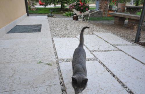 Agriturismo Corte Albarel - Foto 27