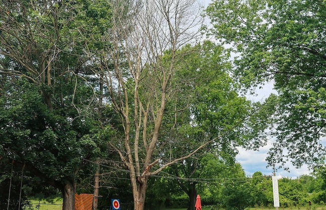 Roadhaven1830 - Foto 83