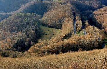 Premium Vulkaneifel Chalet - Foto 50