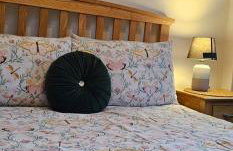 Alastrean Flat - Photo 38